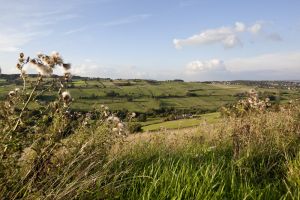 haworth moor penistone 3 sm.jpg